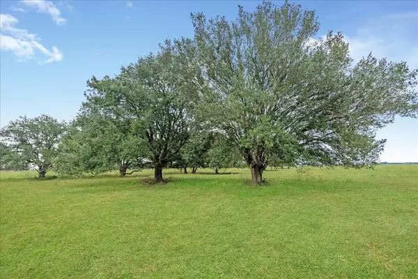 Wallis, TX 77485,TBD Johnston RD