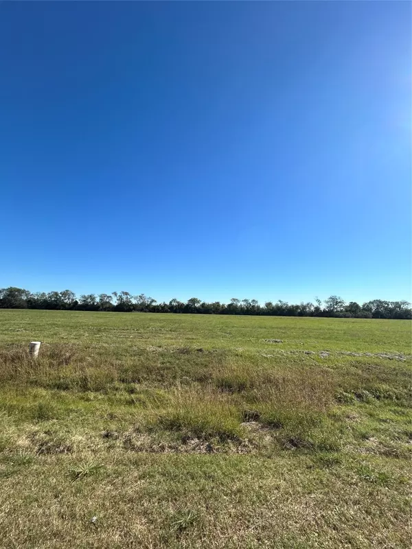 Angleton, TX 77515,000 Brahman TRL