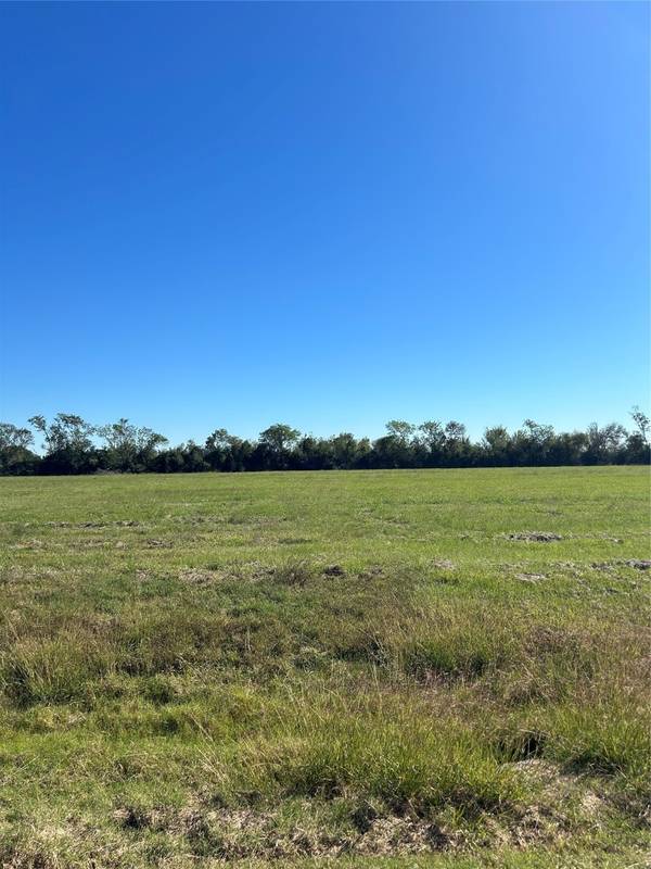 000 Brahman TRL, Angleton, TX 77515