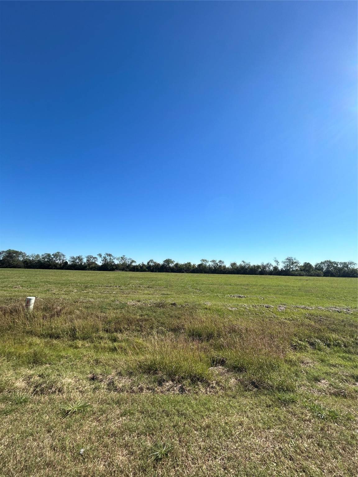 Angleton, TX 77515,000 Brahman TRL
