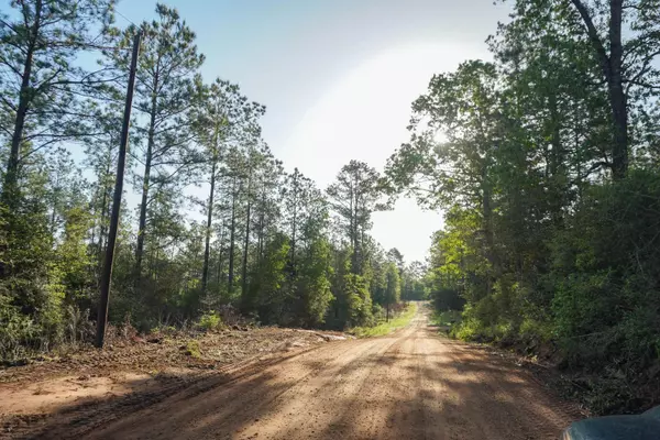 TBD County Road 4575,  Spurger,  TX 77660