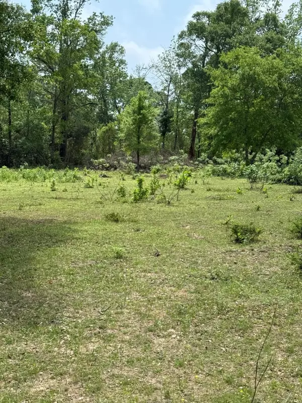 Cleveland, TX 77328,0000 Denson Reed RD