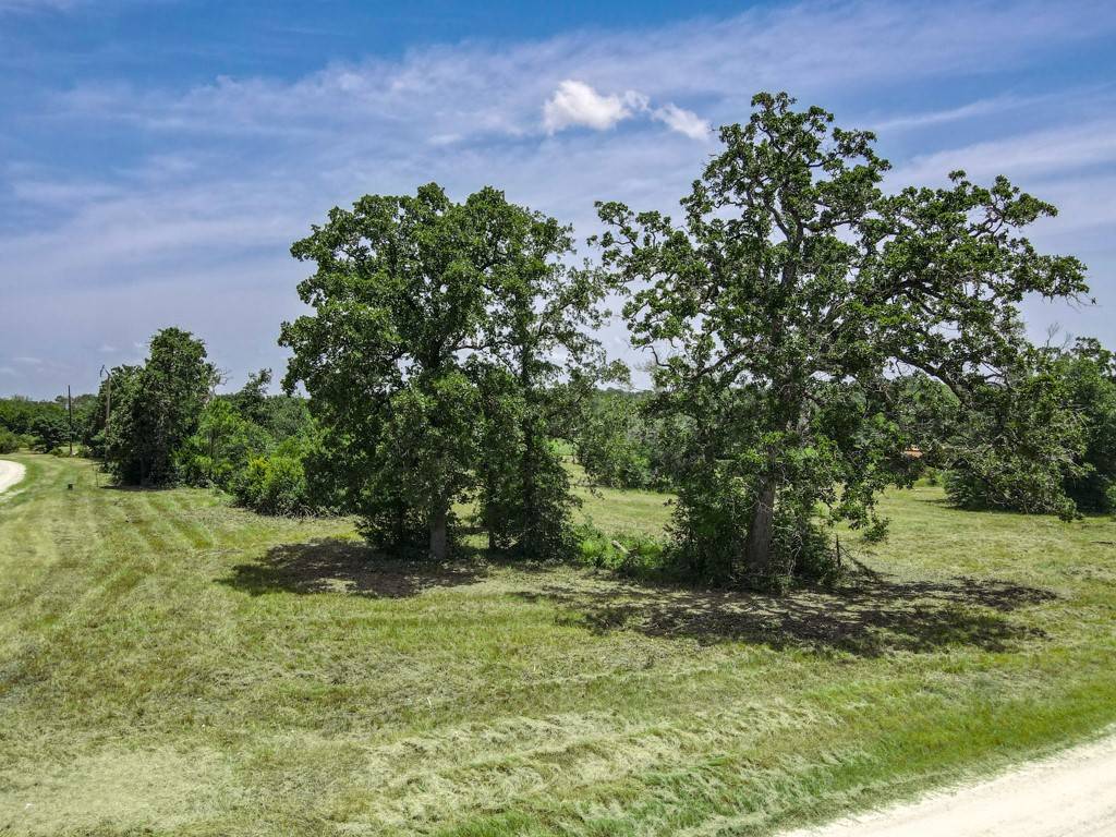 Bedias, TX 77831,19822 Megan ST