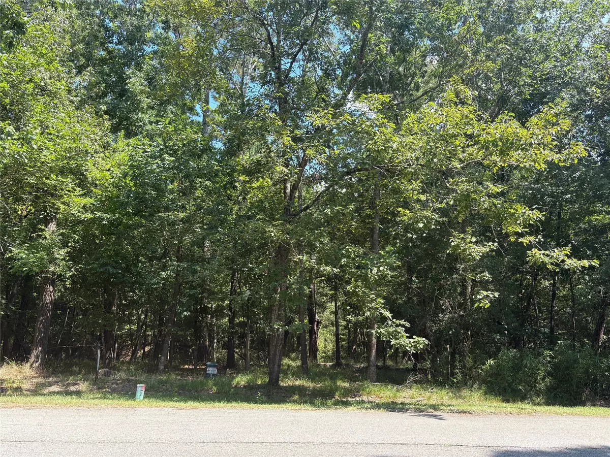 Coldspring, TX 77331,11 & 15 S Pine Harbour DR