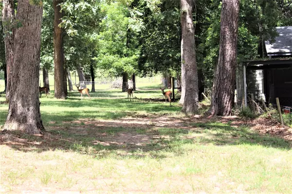 Grapeland, TX 75844,145 Crossed Arrows