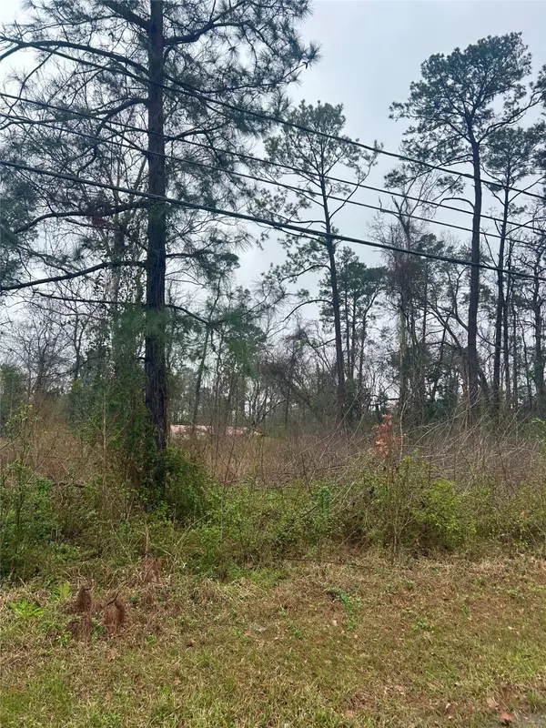 Crosby, TX 77532,703 Little Doe DR