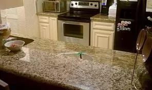 Houston, TX 77072,73 E Park West DR