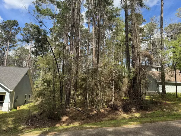 30 Green Tree DR, Coldspring, TX 77331