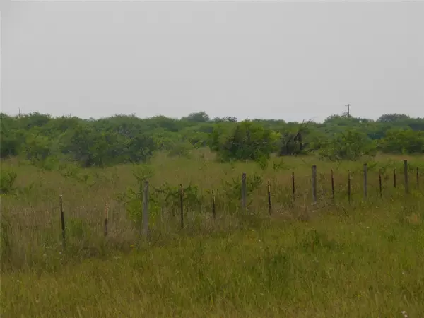 Port Lavaca, TX 77979,Lot F/G CR 306