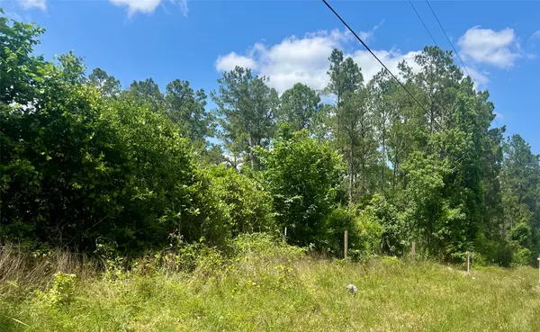 Livingston, TX 77351,1859 Mill Gate RD