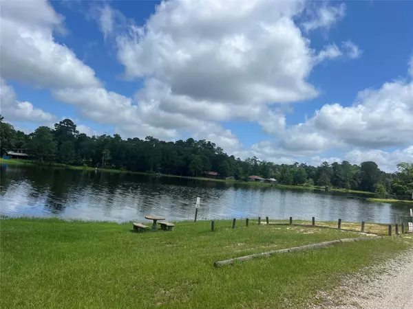 Livingston, TX 77351,319 Lost Lake TRL