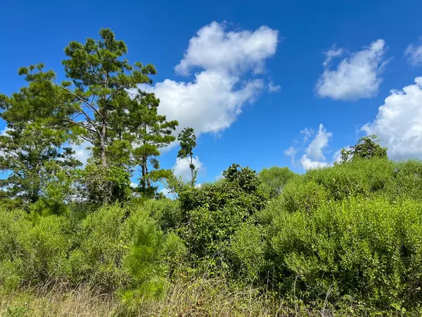 Burkeville, TX 75932,3 Highway 63