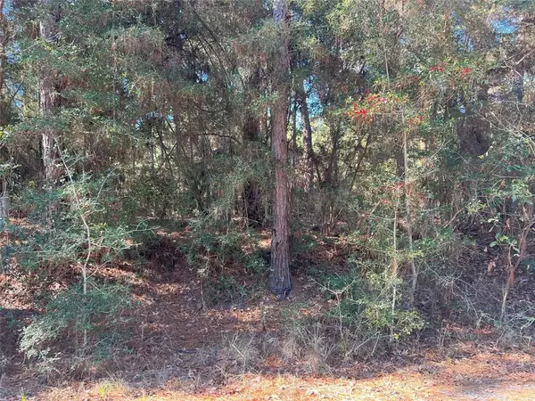 Brookeland, TX 75931,0 Pine Hollow CV