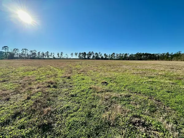 Kountze, TX 77625,6285 Mustang Trail