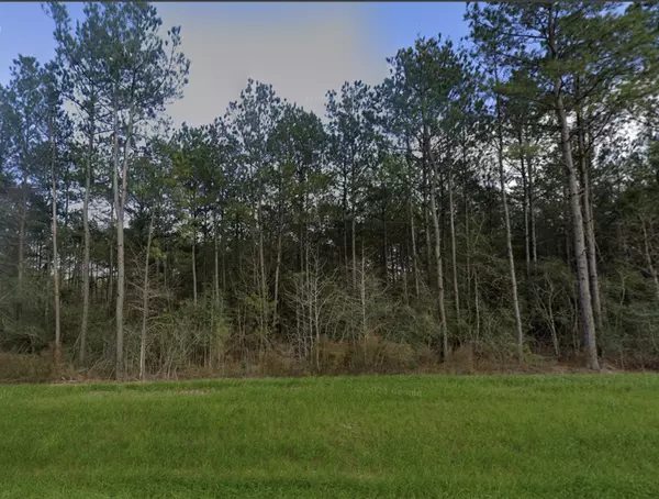 Willis, TX 77378,15931 Forest Grove DR