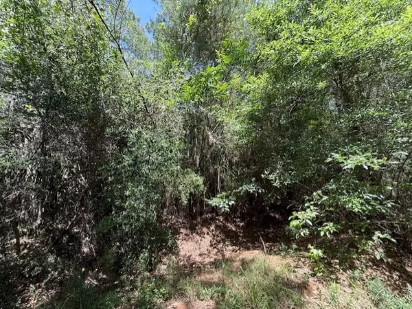 Burkeville, TX 75932,0 County Road 2073