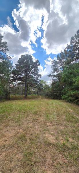 0 & 29699 Mcclellan CT W, Hempstead, TX 77355