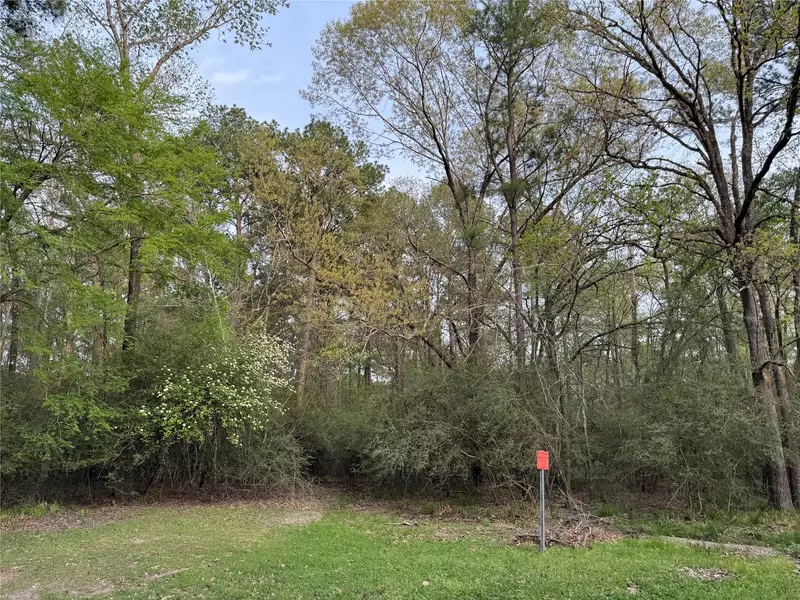 TBD27 Broadmoor DR, Trinity, TX 75862