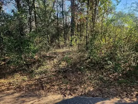 Elkhart, TX 75839,0 Bonner Ferry RD