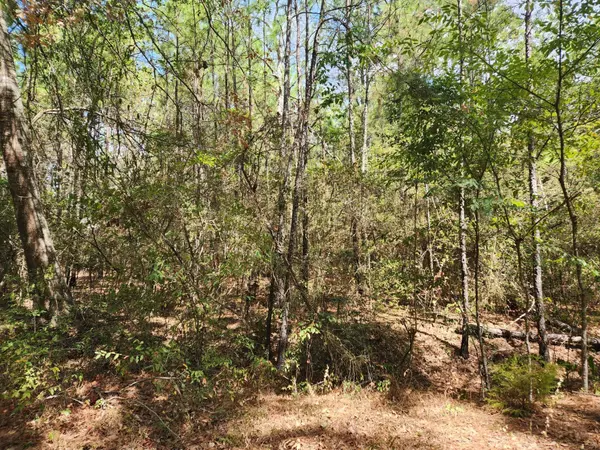 Plantersville, TX 77363,Lot 26 Honeylocust LN