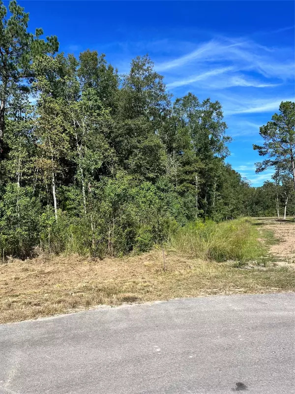 Dayton, TX 77535,185 County Road 6324b