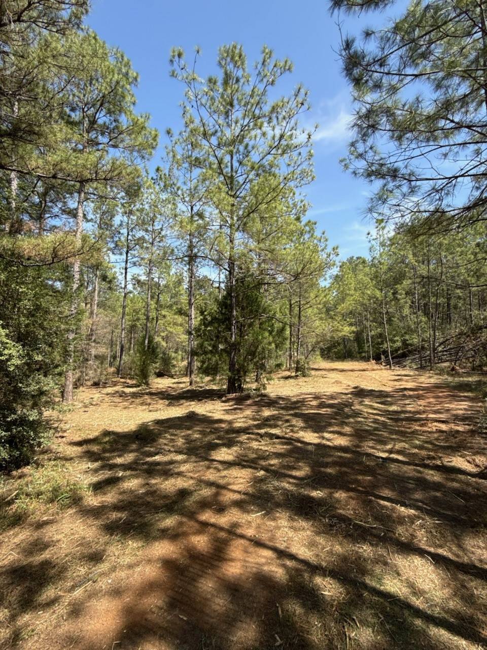 Plantersville, TX 77363,9758 Renfaire DR