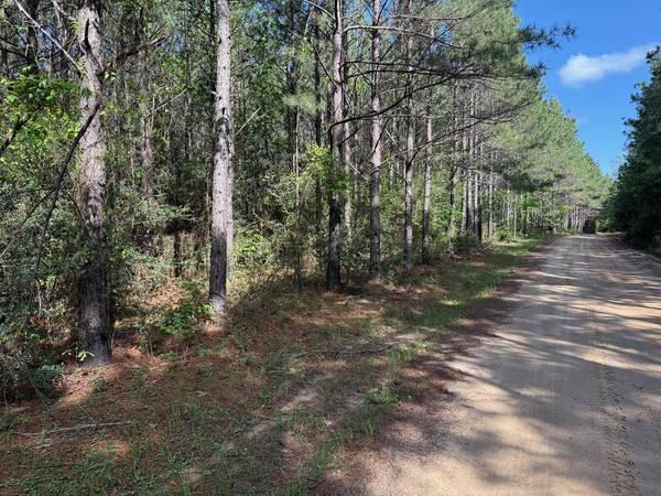 686 PR 5102, Kennard, TX 75847