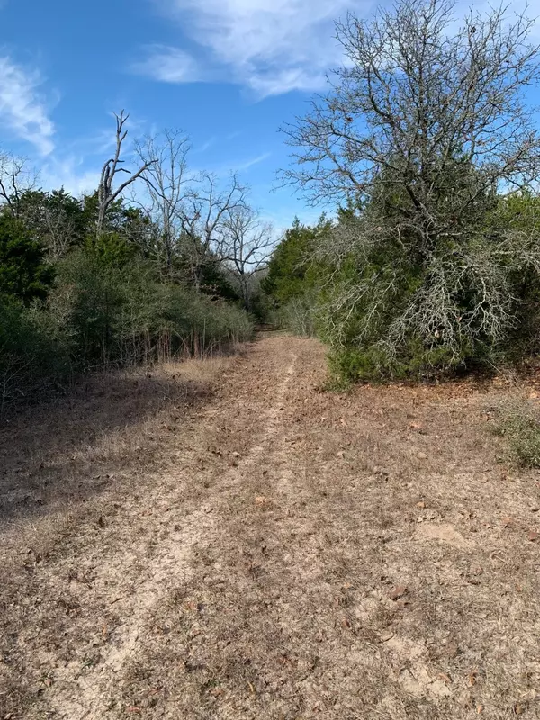 Groesbeck, TX 76642,0000 Fm 937