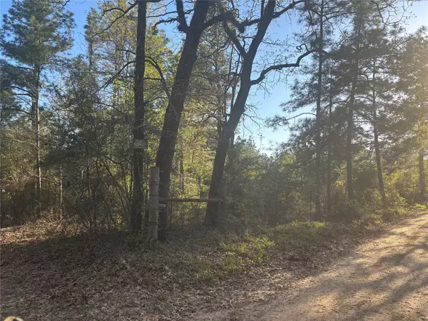 Lovelady, TX 75851,TBD CR4120