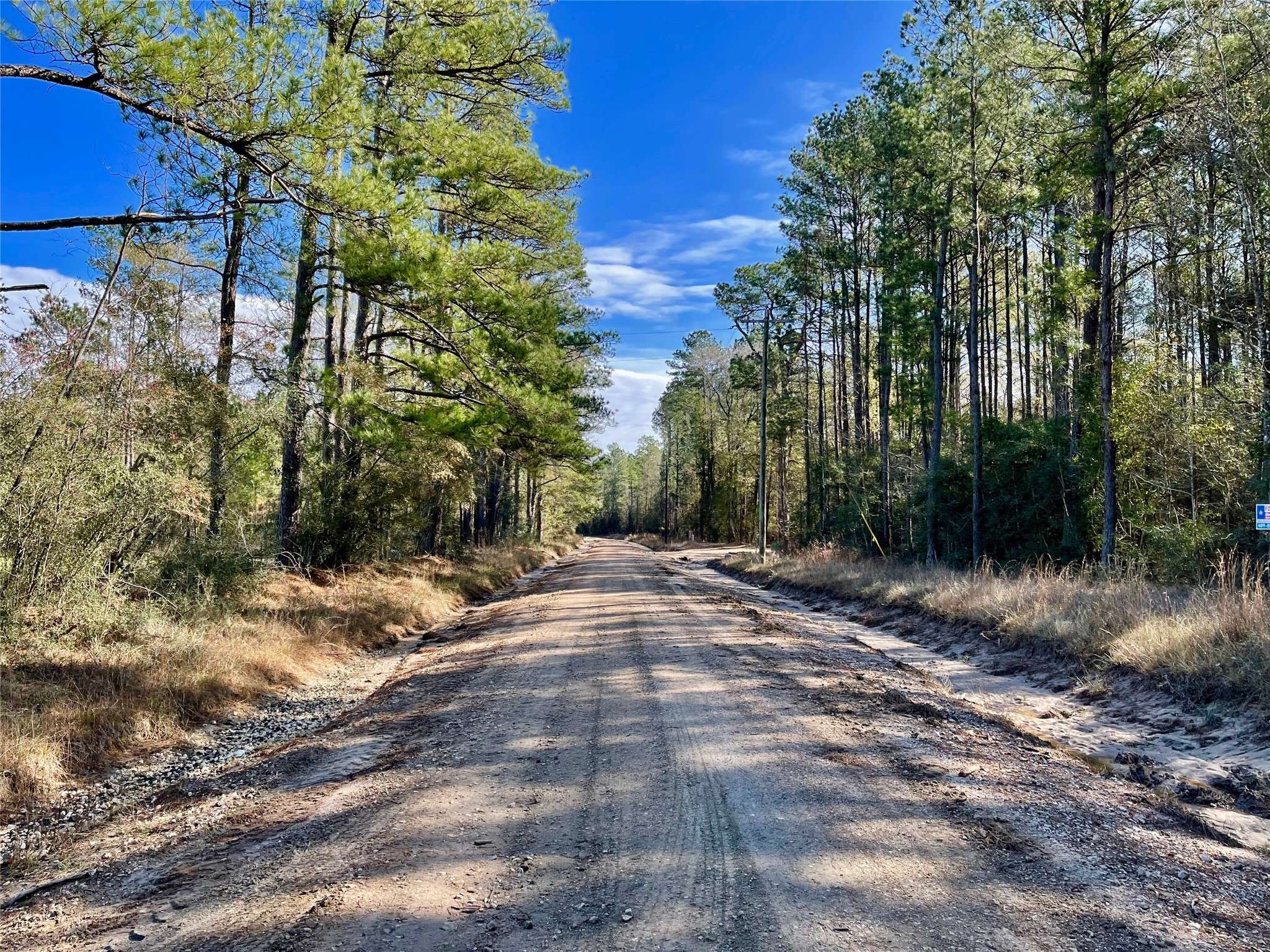 Colmesneil, TX 75938,6 +/- Acs CR 3400