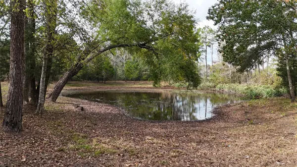 Coldspring, TX 77331,190 Andrea LN