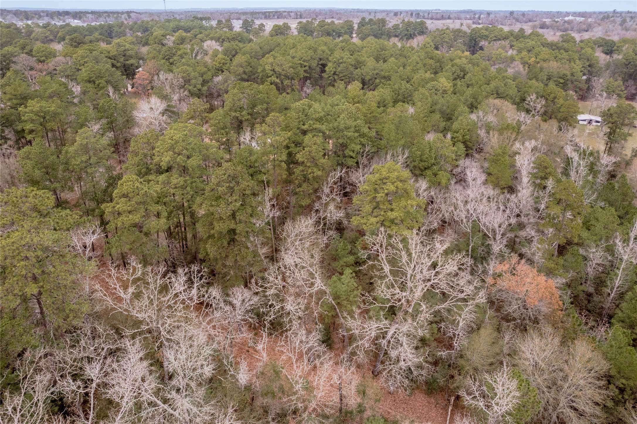 1ac Gazebo ST,  Huntsville,  TX 77340