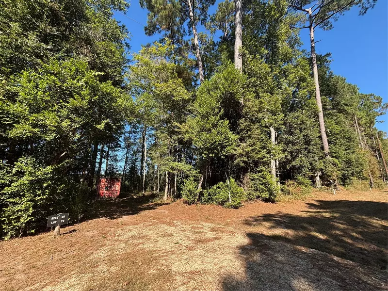 00 L C Herschap LN, Livingston, TX 77351