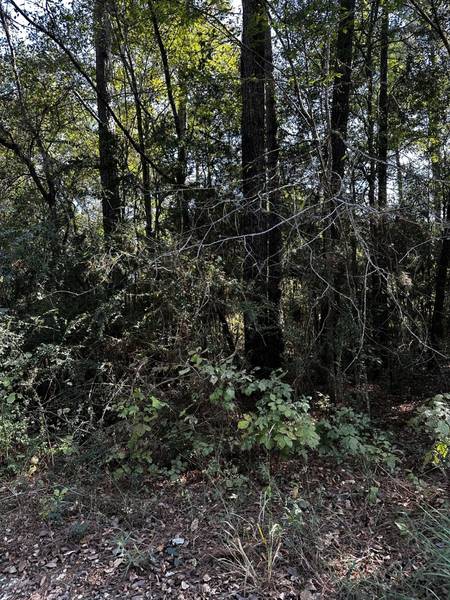 22214 Valley Lane ST, Navasota, TX 77868