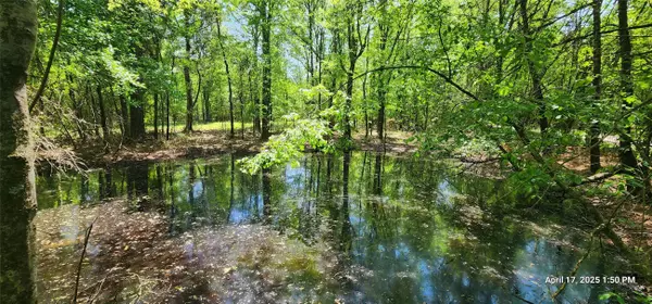 TBD CR 3233 E and CR 3230, Clarksville, TX 75426