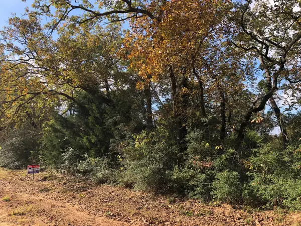 Hilltop Lakes, TX 77871,12 Mohawk LN