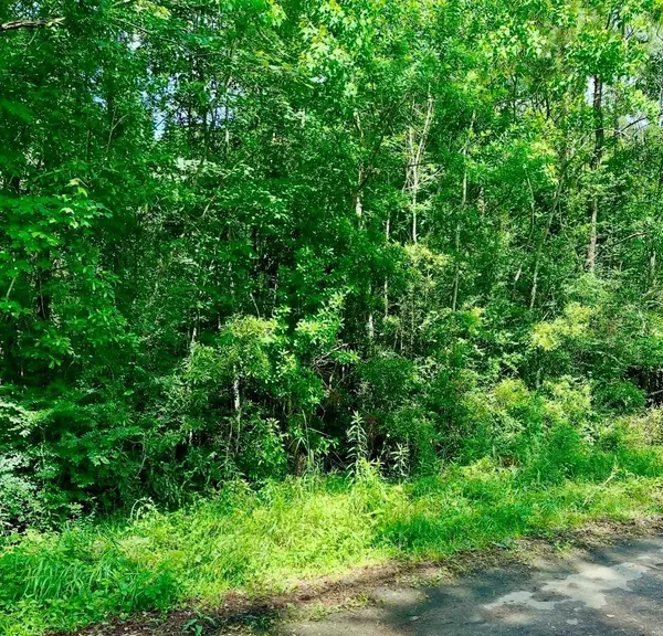 Buna, TX 77612,0 Ferito