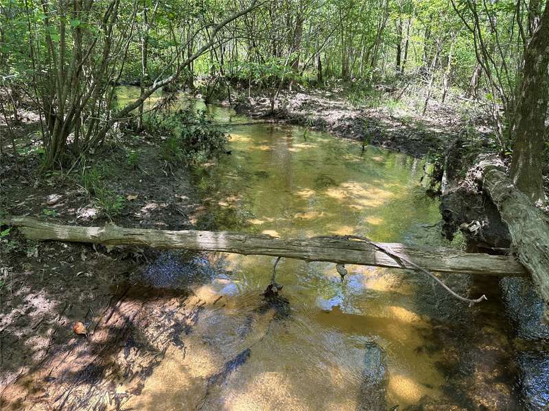 TBD PR 7261, Colmesneil, TX 75938