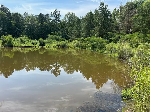 0000 Old Wells Hwy, Pollok, TX 75969