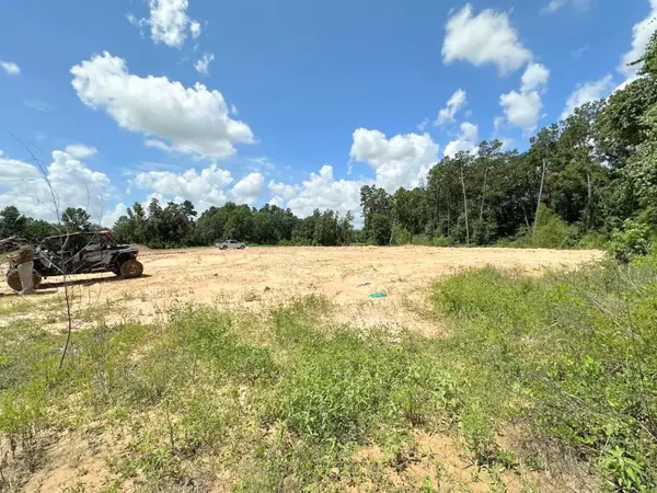 Magnolia, TX 77355,25848 GRAND PINES