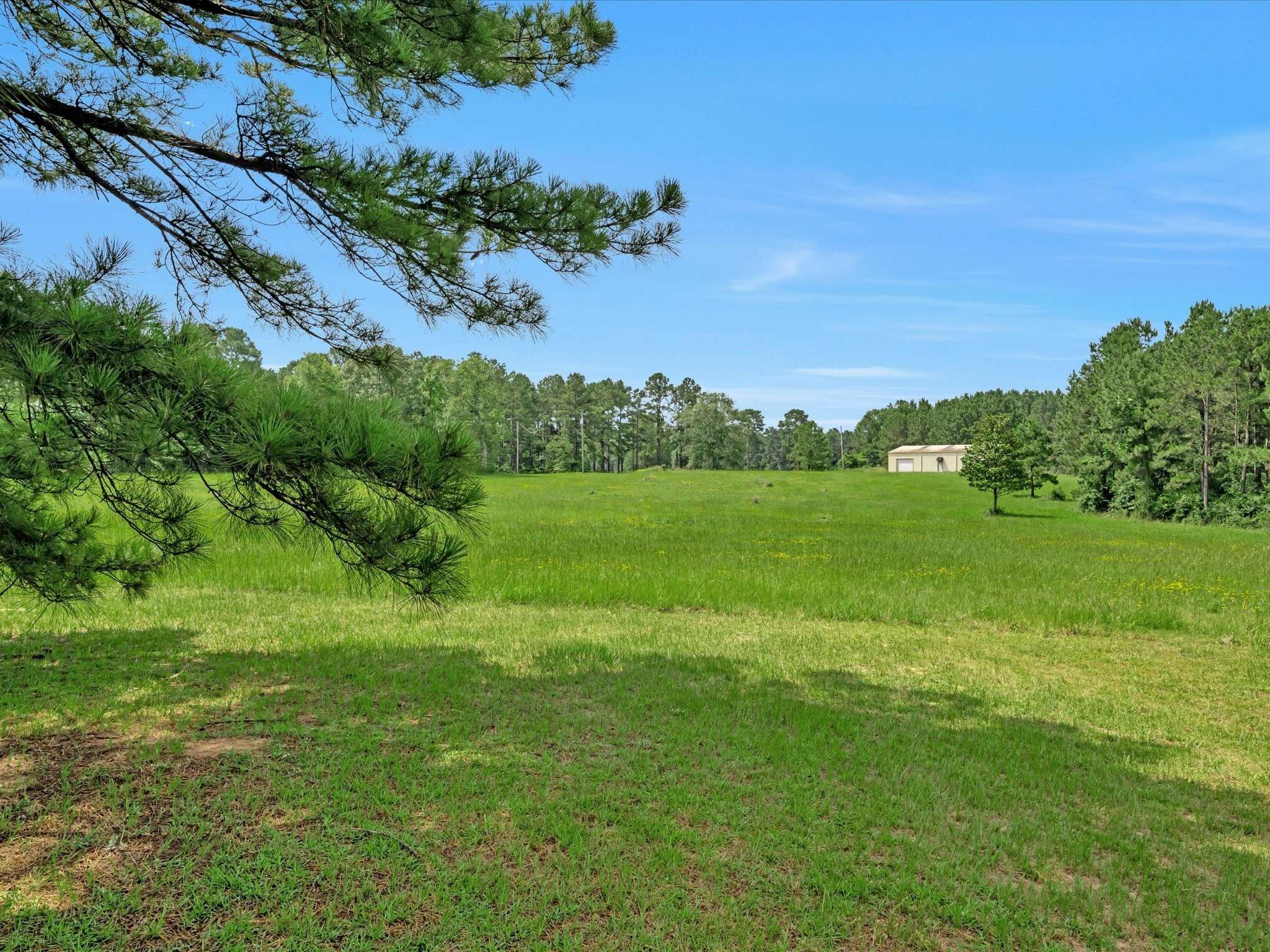 Woodville, TX 75979,345 County Road 2565