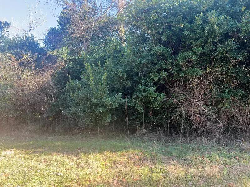 150 Lannie BLVD, Livingston, TX 77351