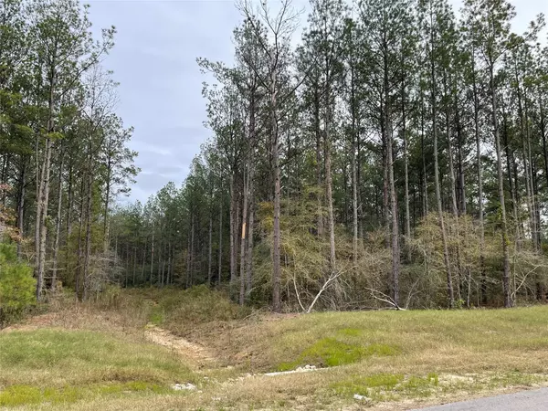 Willis, TX 77378,15682 Wooded Trail WAY