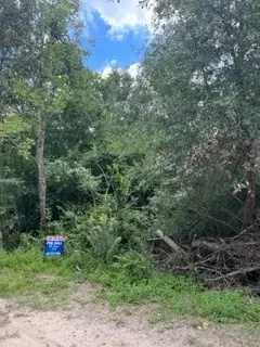 Humble, TX 77338,TBD Fenham LN