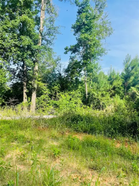 01 Bracewell Cemetery RD, Livingston, TX 77351