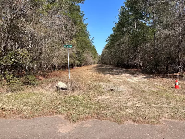 Village Mills, TX 77663,TBD Blue Willow DR