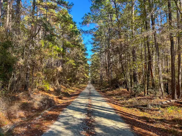 Apple Springs, TX 75926,000 Forest Service Road 527