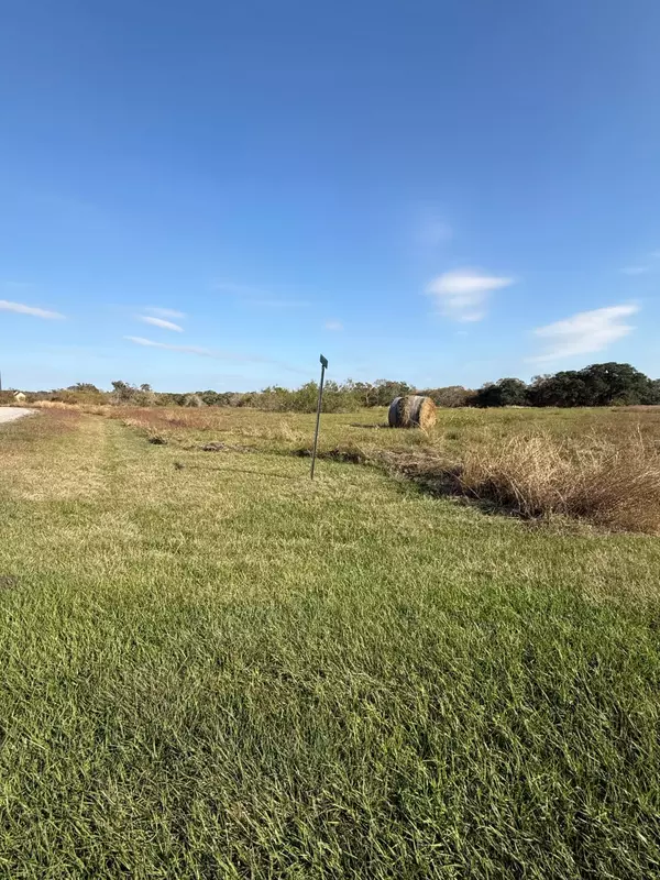 Blessing, TX 77419,000 River Hollow WAY