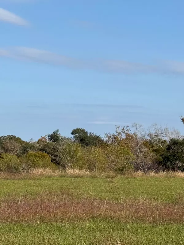 Blessing, TX 77419,000 River Hollow WAY