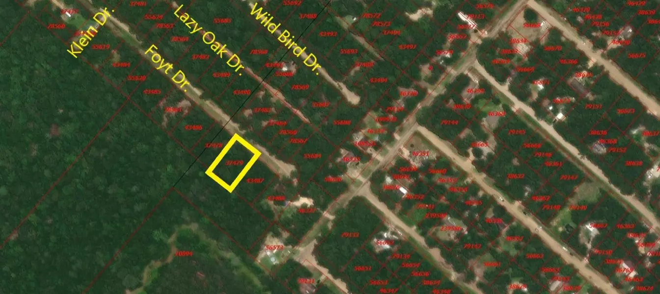 TBD Foyt DR, Livingston, TX 77351